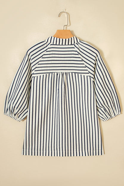 Stripe Floral Embroidered V-Neck 3/4 Sleeve Blouse
