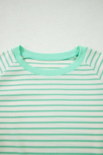 Stripe Colorblock Trim Round Neck Short Sleeve Tee