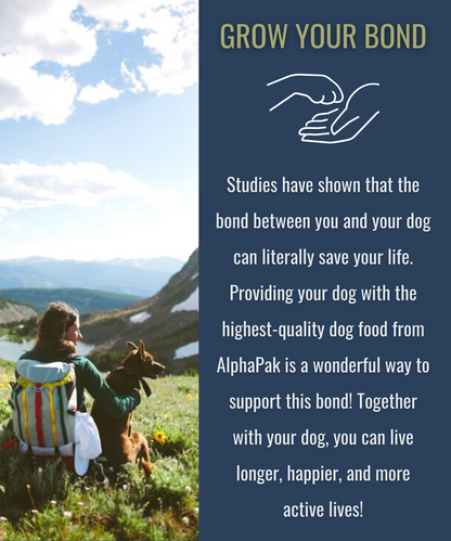 PREMIUM RAW FREEZE DRIED DOG FOOD BEEF