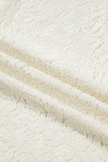 Sheer Lace Ruffle Trim Long Sleeve Blouse