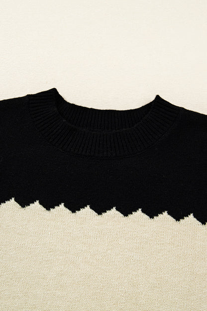 Colorblock Crew Neck Drop Shoulder Sweater