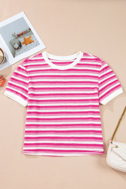 Stripe Textured Knit Short Sleeve Tee