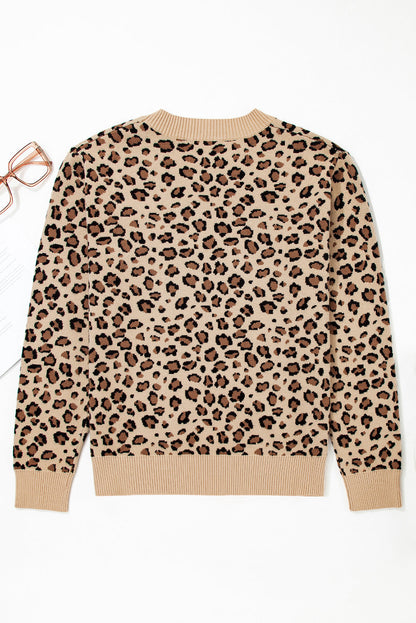 Leopard Contrast Trim Dolman Sleeve Sweater