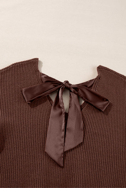 Bow Back Lantern Sleeve V-Neck Sweater