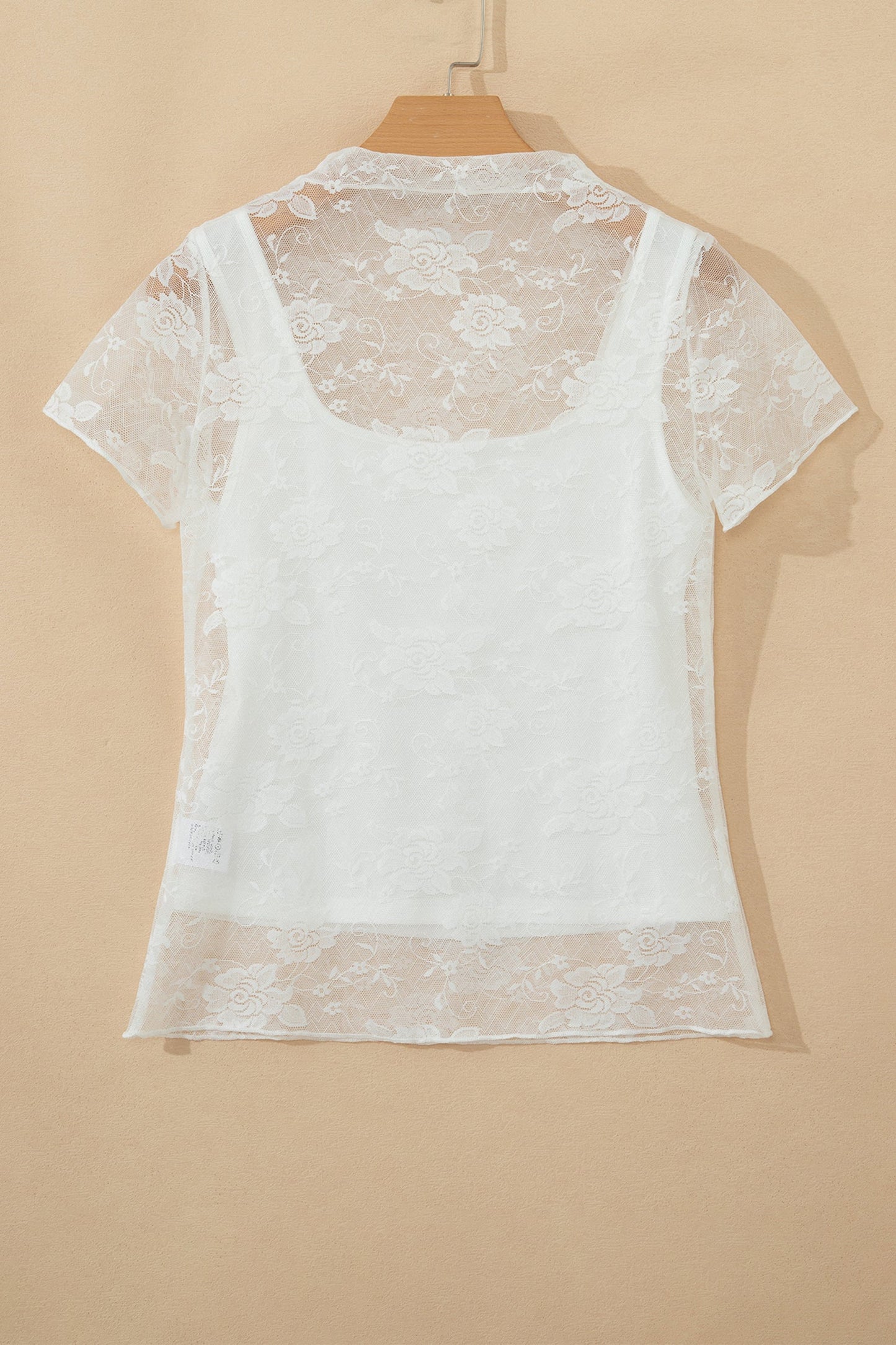 Sheer Lace Mesh Round Neck T-Shirt