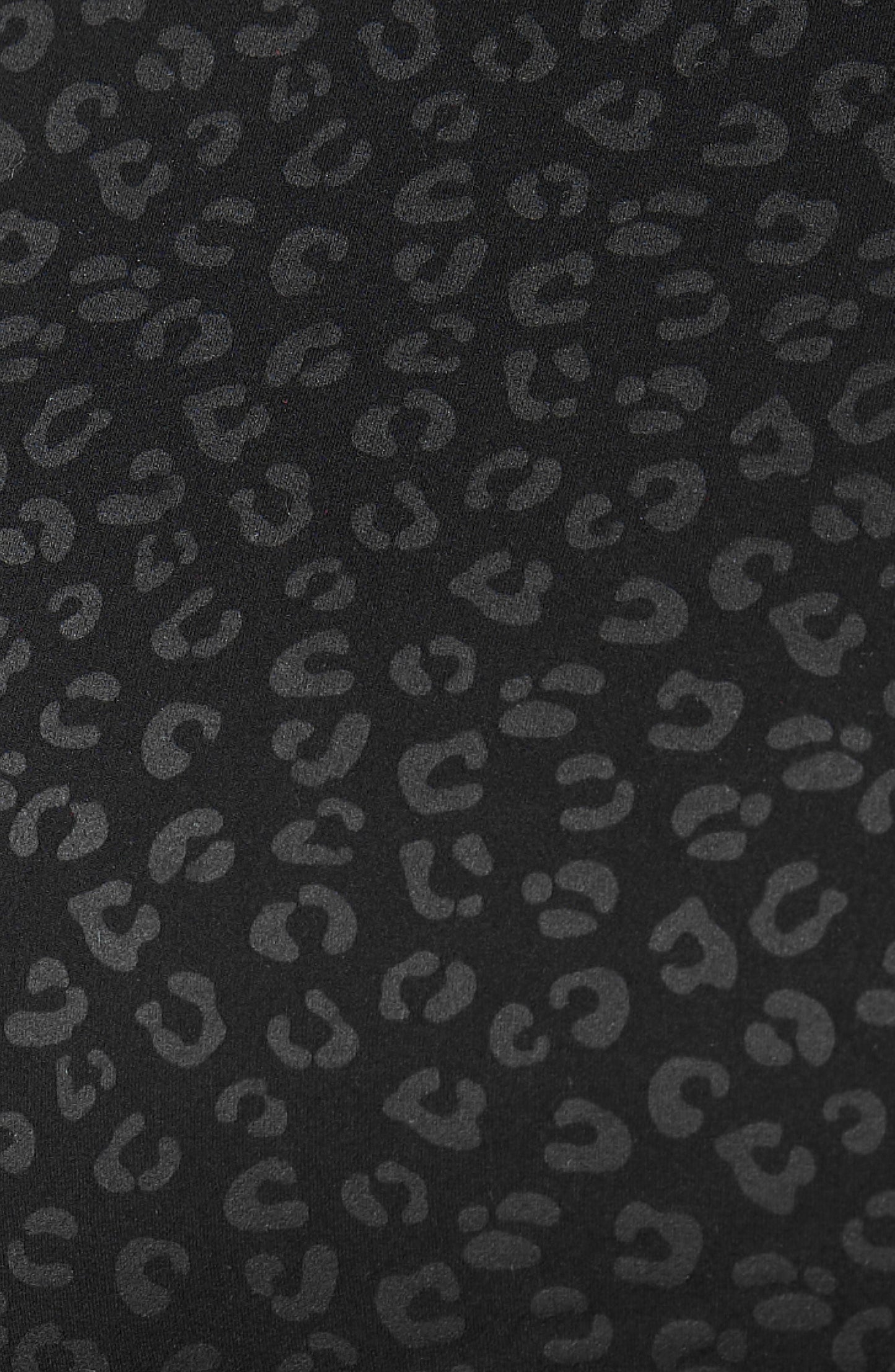 The Fierce Leggings