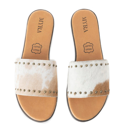 Sustainable Flats