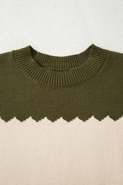 Colorblock Crew Neck Drop Shoulder Sweater