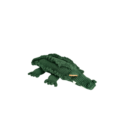 Marvin the Crocodile