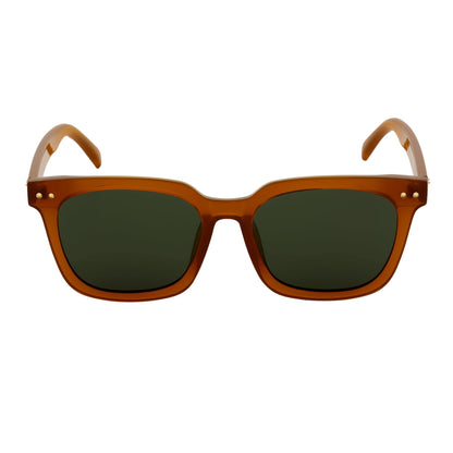 BELMONT - Polarized Classic Retro Horn Rimmed Jelly Brown Green Tint