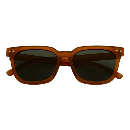 BELMONT - Polarized Classic Retro Horn Rimmed Jelly Brown Green Tint